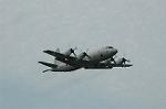 Dcim5131/DSC_5060