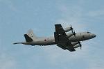 Dcim5131/DSC_5064