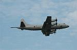 Dcim5131/DSC_5065