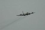 Dcim5131/DSC_5075