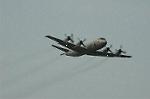 Dcim5131/DSC_5078