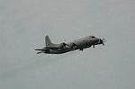 Dcim5131/DSC_5080