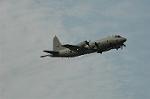 Dcim5131/DSC_5081