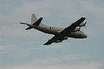 Dcim5131/DSC_5085