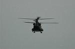 Dcim5132/DSC_5176