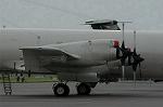 Dcim5134/DSC_4914