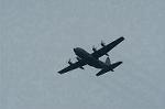 Dcim5134/DSC_4918