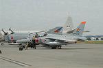 Dcim5135/DSC_7711