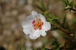 Dcim5136/DSC_5220