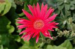 Dcim5136/DSC_5227