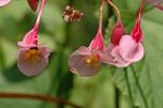 Dcim5136/DSC_5230