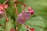Dcim5136/DSC_5231