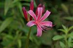 Dcim5136/DSC_5254