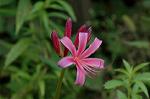 Dcim5136/DSC_5257