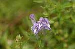 Dcim5137/DSC_5353