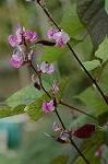 Dcim5137/DSC_5407