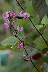 Dcim5137/DSC_5408