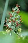Dcim5138/DSC_5482
