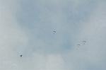 Dcim5145/DSC_6295
