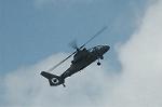 Dcim5145/DSC_6345
