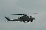Dcim5147/DSC_6611