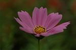Dcim5148/DSC_6674