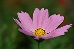 Dcim5148/DSC_6675
