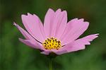 Dcim5148/DSC_6676