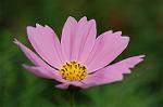 Dcim5148/DSC_6677