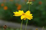 Dcim5148/DSC_6678