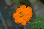 Dcim5148/DSC_6685