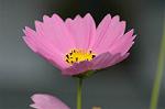 Dcim5148/DSC_6687