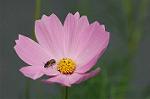 Dcim5148/DSC_6689