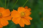 Dcim5148/DSC_6704