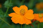 Dcim5148/DSC_6706