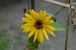 Dcim5148/DSC_6707