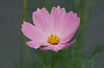 Dcim5148/DSC_6711
