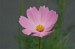 Dcim5148/DSC_6712