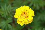 Dcim5148/DSC_6715