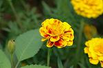 Dcim5148/DSC_6719