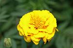 Dcim5148/DSC_6720