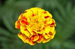 Dcim5148/DSC_6721