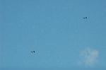 Dcim5165/DSC_8001