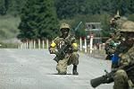 Dcim5166/DSC_8176