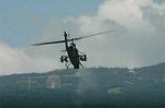 Dcim5167/DSC_8229