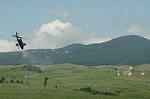 Dcim5167/DSC_8237