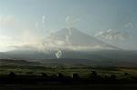 Dcim5172/DSC_5796