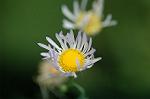 Dcim5174/DSC_8717