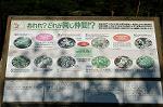 Dcim5181/DSC_5913