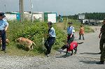 Dcim5189/DSC_0270